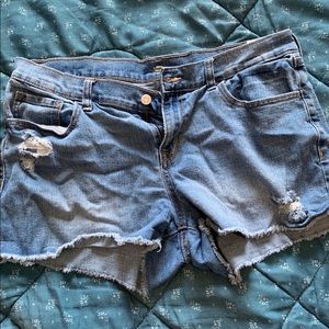 Distressed Short Shorts